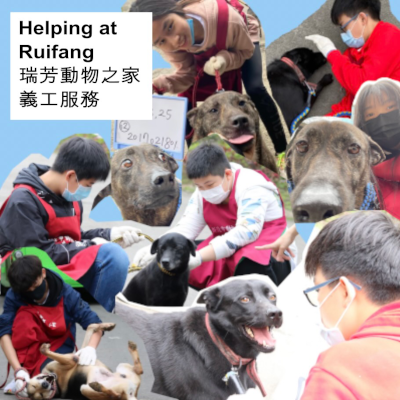 Helping at Ruifang