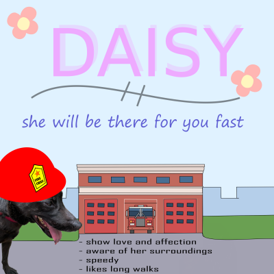 Daisy (written by Sharon Chou and Larissa Kuo)